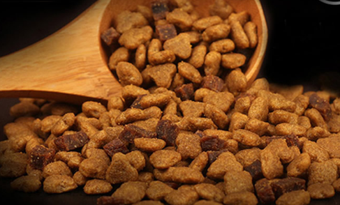 寵物零食真是飼料？厘清寵物食品的科學分類