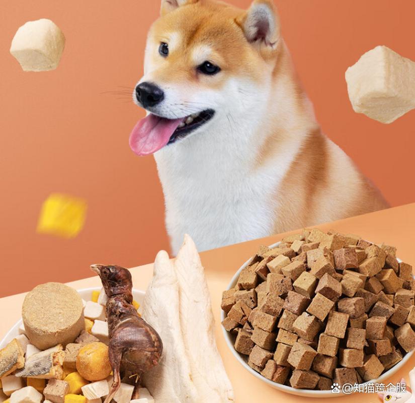 泰國寵物食品市場崛起!泰國市場注冊攻略及核心要點解鎖 寵物食品